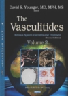 The Vasculitides : Volume 2 -- Nervous System Vasculitis and Treatment - Book