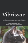 Vibrissae : A Collection of Cats, Facts and Whiskers - Book