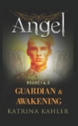 ANGEL - Books 1 and 2 : Guardian & Awakening - Book