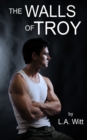 The Walls of Troy - Book