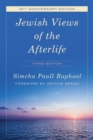 Jewish Views of the Afterlife - Book