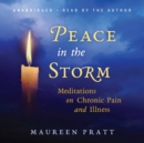 Peace in the Storm - eAudiobook