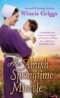 Her Amish Springtime Miracle - Book