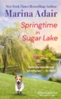 Springtime in Sugar Lake (previously published as Sugar on Top) - Book