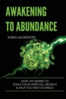 Awakening to Abundance : How life works to force your spiritual growth and help you find yourself - Book