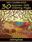 Adult Coloring Book : 30 Autumn Falls Coloring Pages - Book