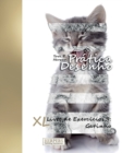 Pratica Desenho - XL Livro de Exercicios 9 : Gatinho - Book