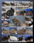 Colour & Pattern Varieties of the Netherland Dwarf Rabbit - Book