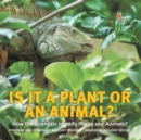 Is It a Plant or an Animal? How Do Scientists Identify Plants and Animals? Compare and Contrast Biology Grade 3 Children's Biology Books - Book
