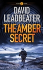 The Amber Secret - Book