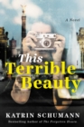 This Terrible Beauty : A Novel - Book