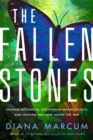 The Fallen Stones : Chasing Butterflies, Discovering Mayan Secrets, and Looking for Hope Along the Way - Book