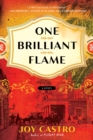 One Brilliant Flame : A Novel - Book