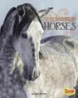 Clydesdale Horses - Book