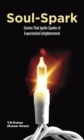 Soul-Spark : Stories That Ignite Sparks of Experiential Enlightenment - eBook