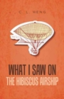 What I Saw on the Hibiscus Airship - Book