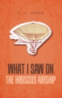 What I Saw on the Hibiscus Airship - eBook
