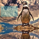 Penguins Can Fly - eBook