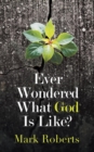 Ever Wondered What God Is Like? - Book