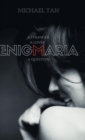 Enigmaria : A Stranger, a Lover, a Question - Book