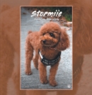 Stormiie : Based on a True Story - eBook