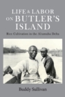 Life & Labor On Butler's Island : Rice Cultivation in the Altamaha Delta - Book