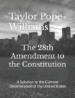 The 28th Amendment to the Constitution : A Solution to the Current Deterioration of the United States - Book