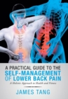 A Practical Guide to the Self-Management of Lower Back Pain : A Holistic Approach to Health and Fitness - Book