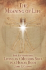 The Meaning of Life : Purpose and Mission of the Human Soul - Book