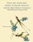 Wall Art Made Easy : Ready to Frame Vintage Exotic Bird Prints Volume 2: 30 Beautiful Illustrations to Transform Your Home - Book