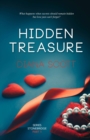Hidden Treasure - eBook