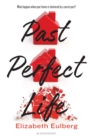 Past Perfect Life - eBook