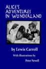 Alice's Adventures in Wonderland : Illustrated by Peter Newell - Book