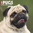 Just Pugs 2020 Wall Calendar (Dog Breed Calendar) - Book