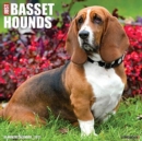 Just Basset Hounds 2021 Wall Calendar (Dog Breed Calendar) - Book