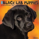 Just Black Lab Puppies 2021 Wall Calendar (Dog Breed Calendar) - Book