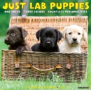 Just Lab Puppies 2021 Wall Calendar (Dog Breed Calendar) - Book