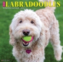 Just Labradoodles 2021 Wall Calendar (Dog Breed Calendar) - Book