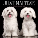 Just Maltese 2021 Wall Calendar (Dog Breed Calendar) - Book
