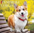 Just Pembroke Corgis 2021 Wall Calendar (Dog Breed Calendar) - Book