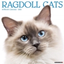 Ragdoll Cats 2021 Wall Calendar - Book
