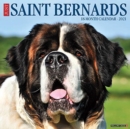 Just Saint Bernards 2021 Wall Calendar (Dog Breed Calendar) - Book