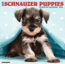 Just Schnauzer Puppies 2021 Wall Calendar (Dog Breed Calendar) - Book