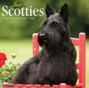 Just Scotties 2021 Wall Calendar (Dog Breed Calendar) - Book