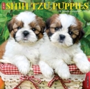 Just Shih Tzu Puppies 2021 Wall Calendar (Dog Breed Calendar) - Book
