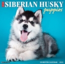 Just Siberian Husky Puppies 2021 Wall Calendar (Dog Breed Calendar) - Book