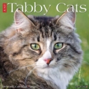 Just Tabby Cats 2021 Wall Calendar - Book