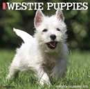 Just Westie Puppies 2021 Wall Calendar (Dog Breed Calendar) - Book