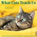 What Cats Teach Us 2021 Wall Calendar - Book