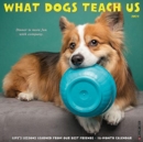 What Dogs Teach Us 2021 Wall Calendar - Book